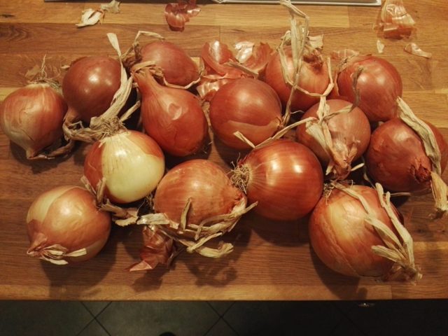 Cipolle per la Genovese