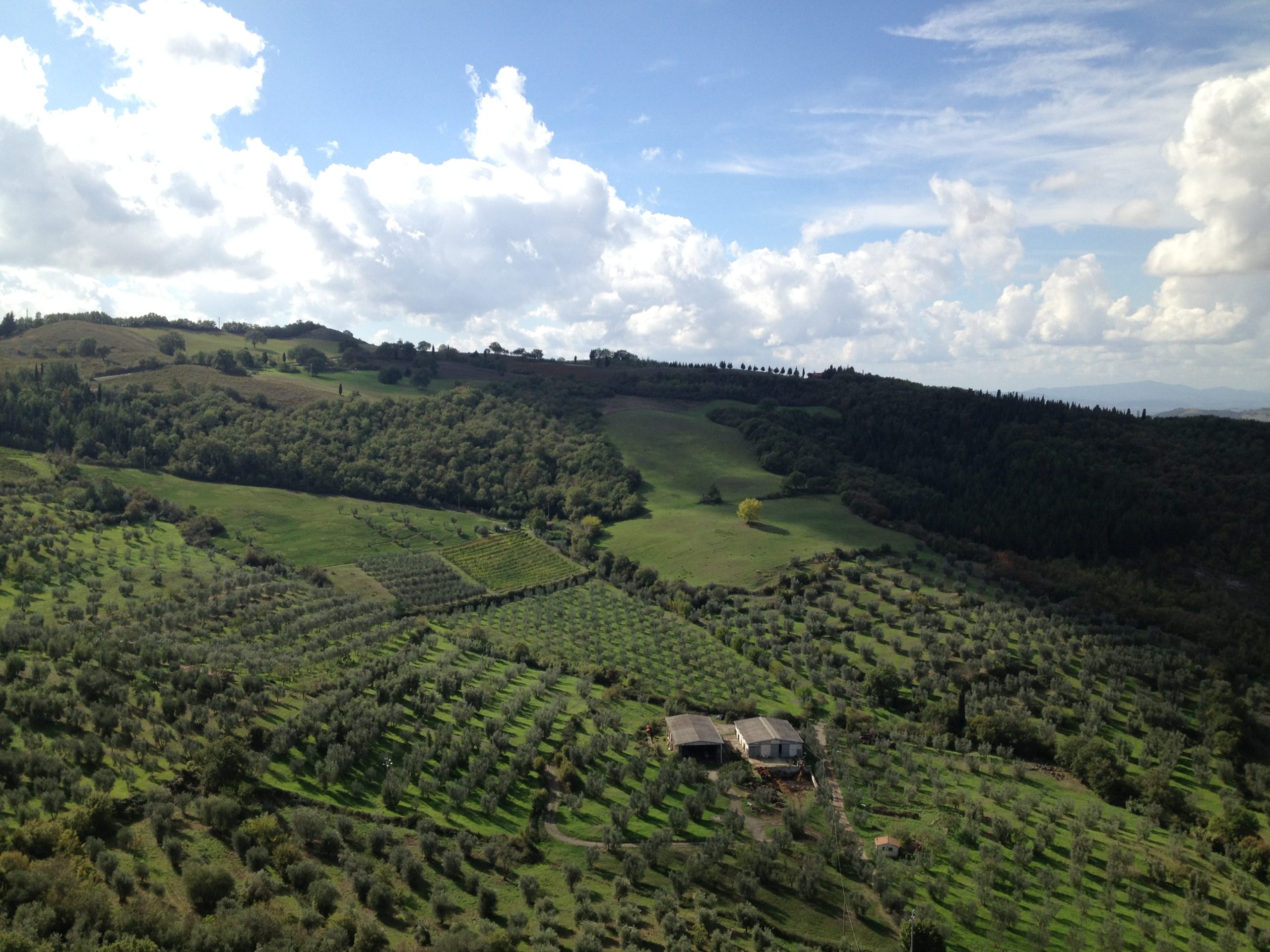 Toscana - le colline dl chianti